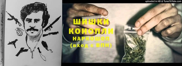 стафф Аркадак