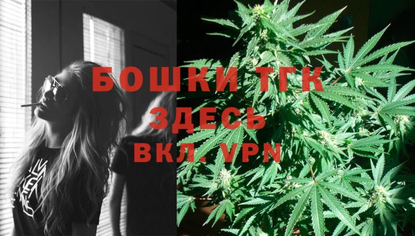 стафф Аркадак