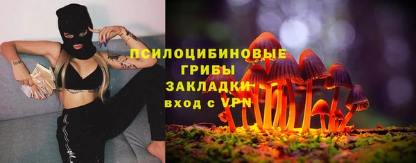 стафф Аркадак